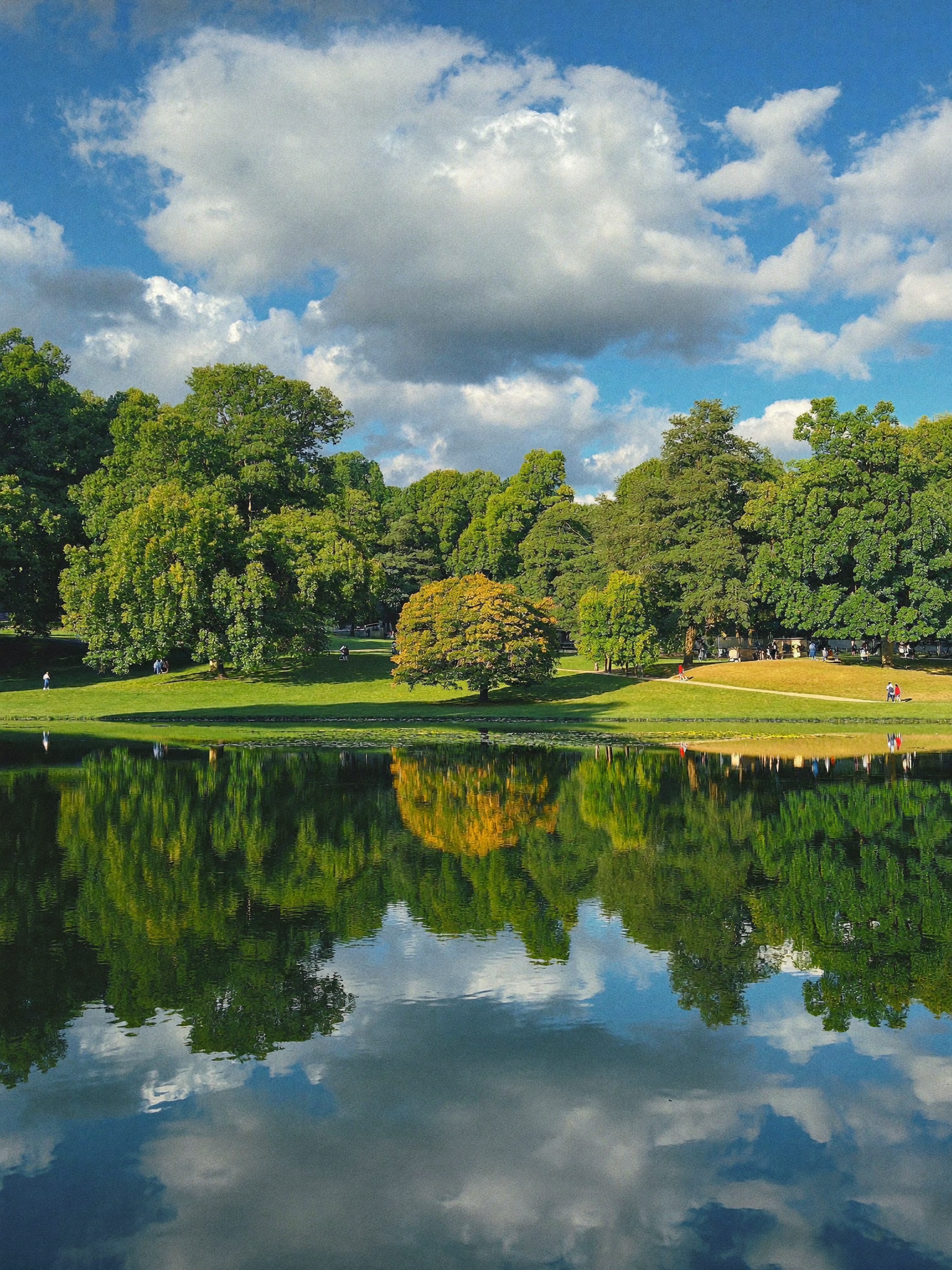 Mirror Lake on Ohio State campus, lush green trees reflected in still water